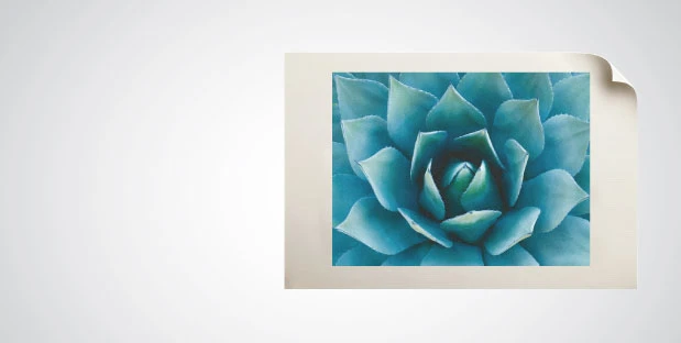 Canvas 1