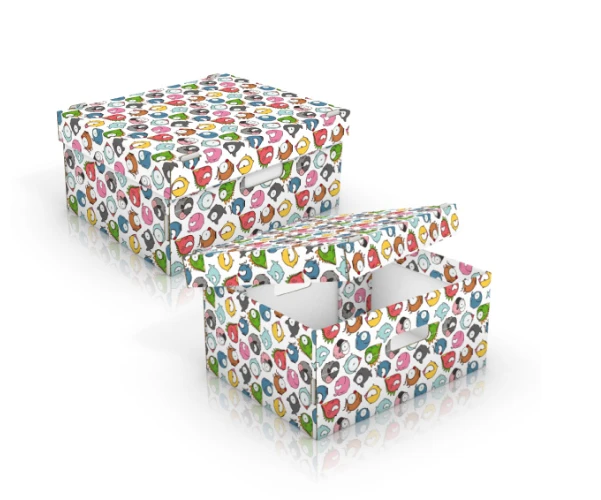 Design 01