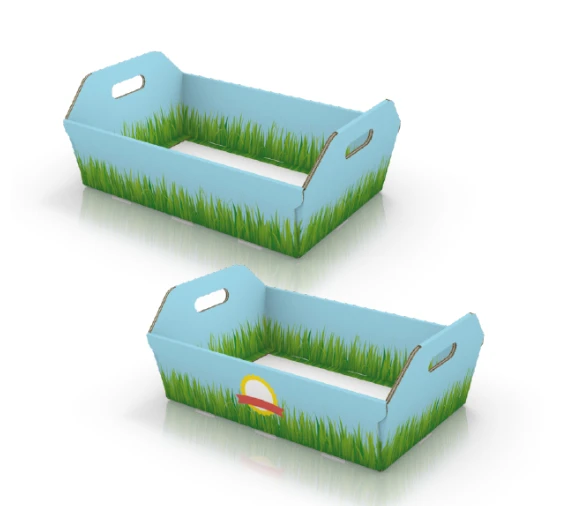 Design 02